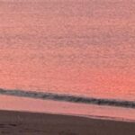 Person walking a dog along a beach shoreline at sunset, with the dog running near the water.