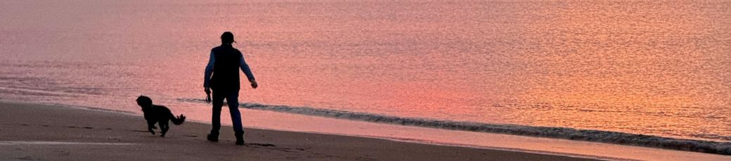 Person walking a dog along a beach shoreline at sunset, with the dog running near the water.