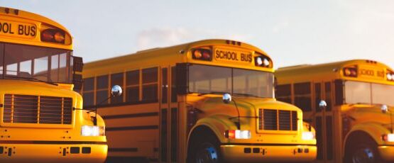School buses lined up during back-to-school season in the Rio Grande Valley
