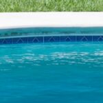 Residential swimming pool with ladder and surrounding grass